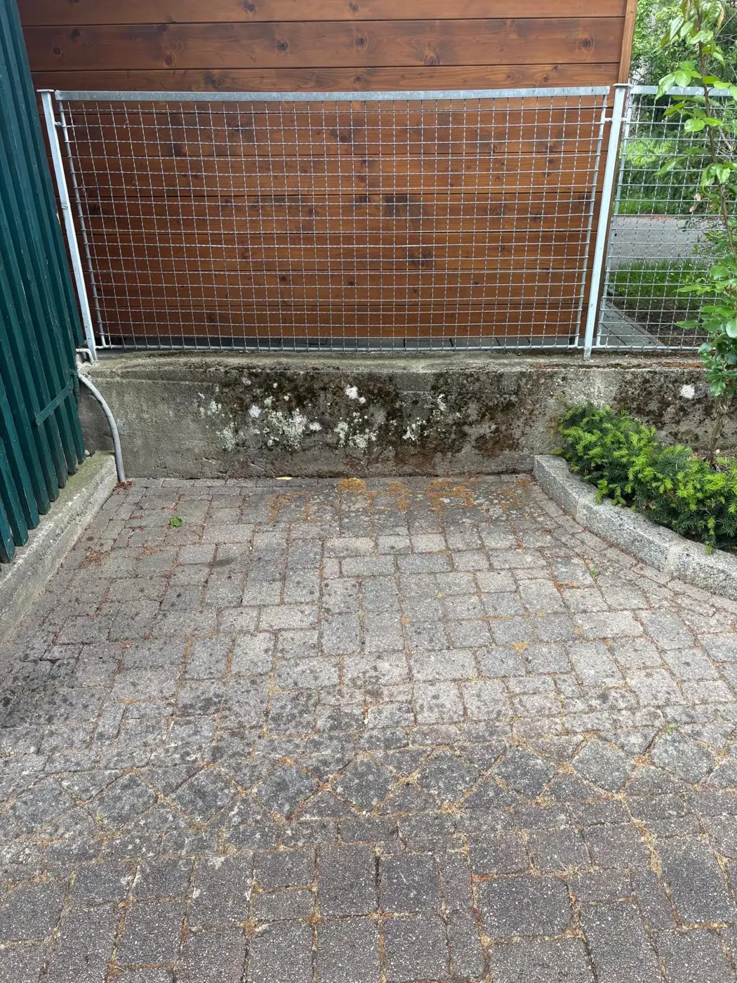 Vorher: Pflastersteine und Betonmauer mit Moos vor der Pflasterreinigung