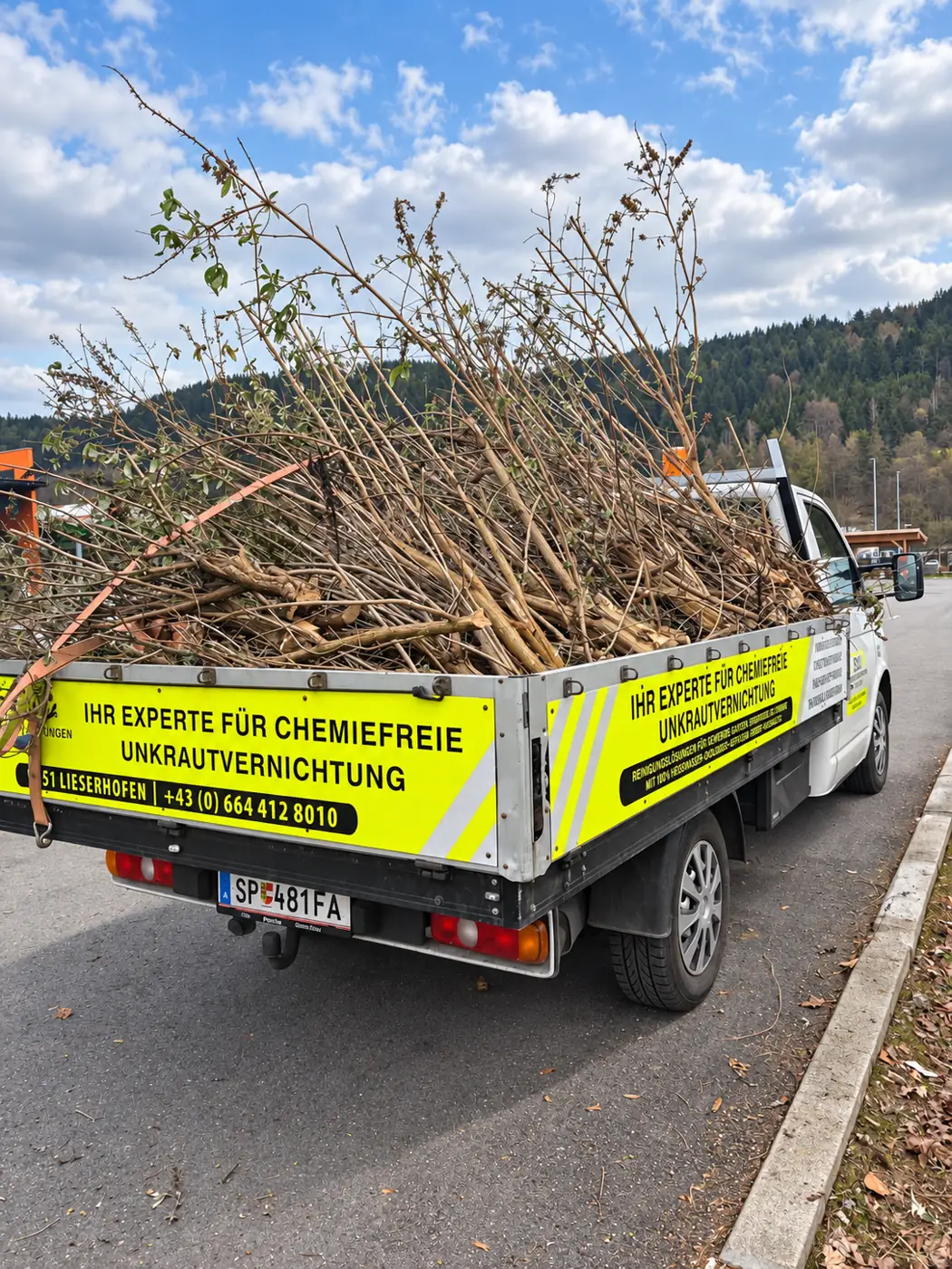Transport und Entsorgung von Grünschnitt mit dem SDD-LKW in Kärnten