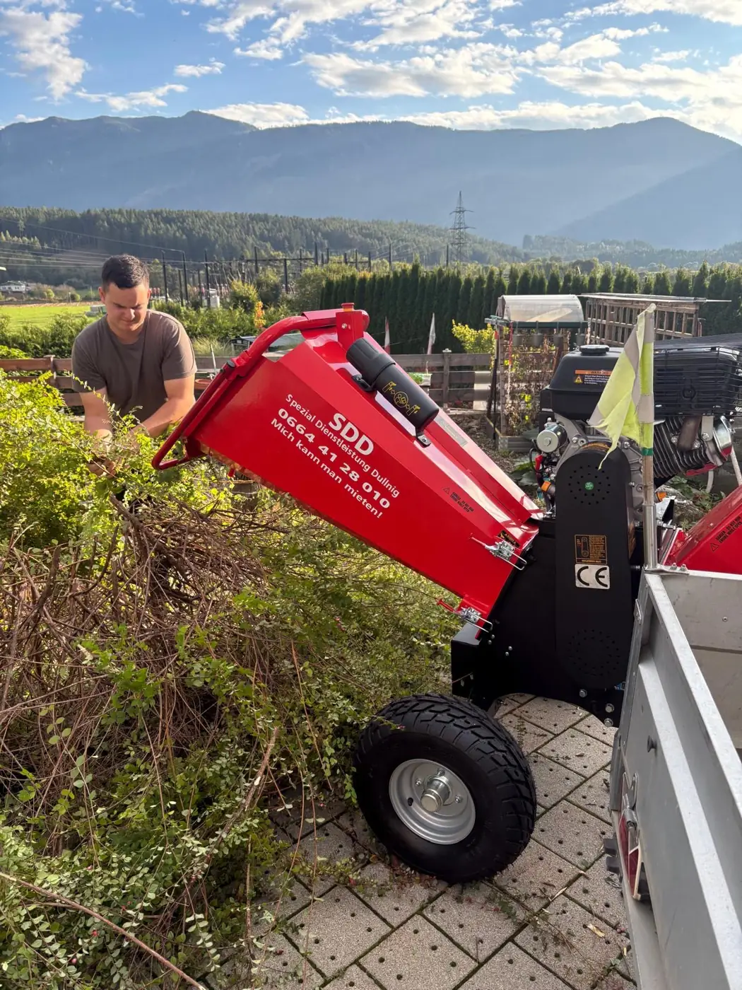Staudenschnitt: Stauden werden mit dem Gartenhäcksler vor Ort gehäckselt