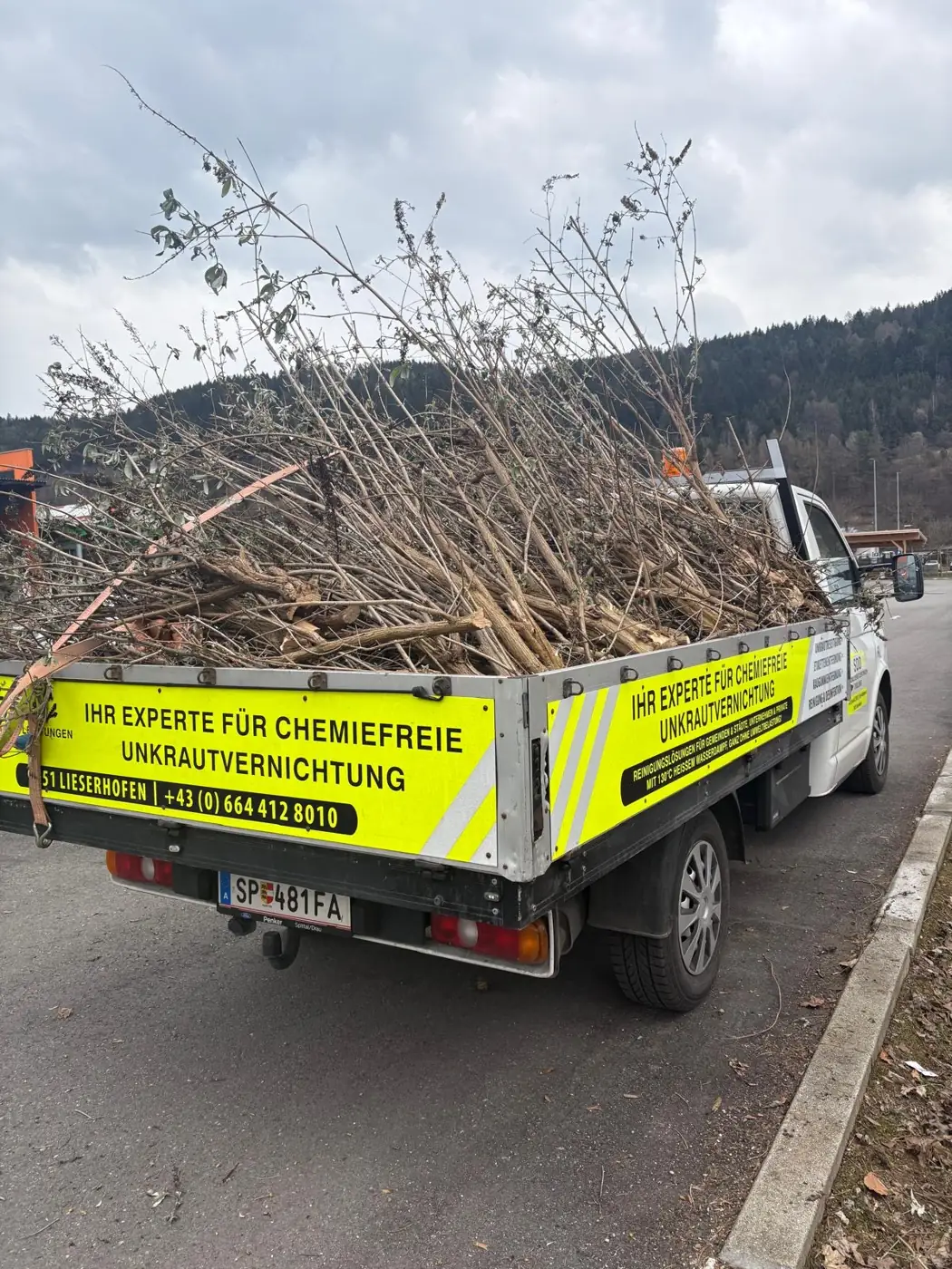 Staudenschnitt inklusive Abtransport des Grünschnitts